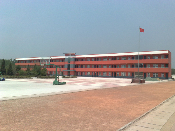 图片3